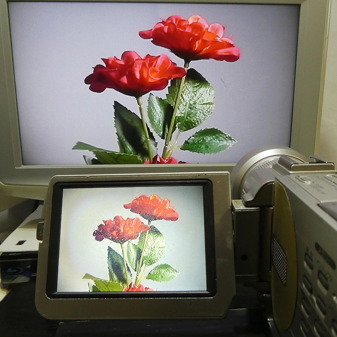美品・動作品ソニー DCR-TRV20 MiniDV ビデオカメラ DVD化に