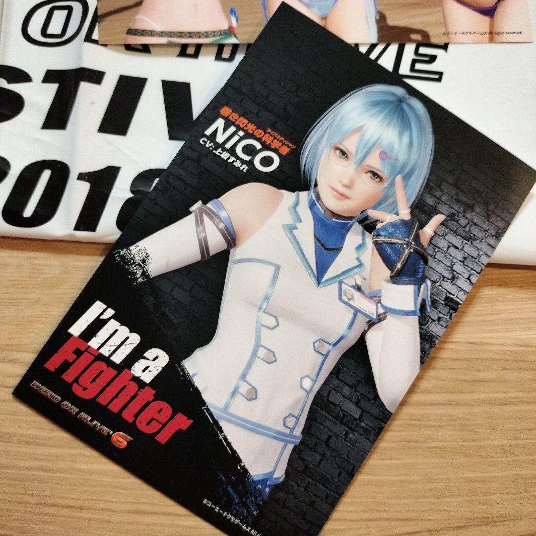 公*o様 DOAXVV　クリアファイル　みさき　1周年　ポストカード