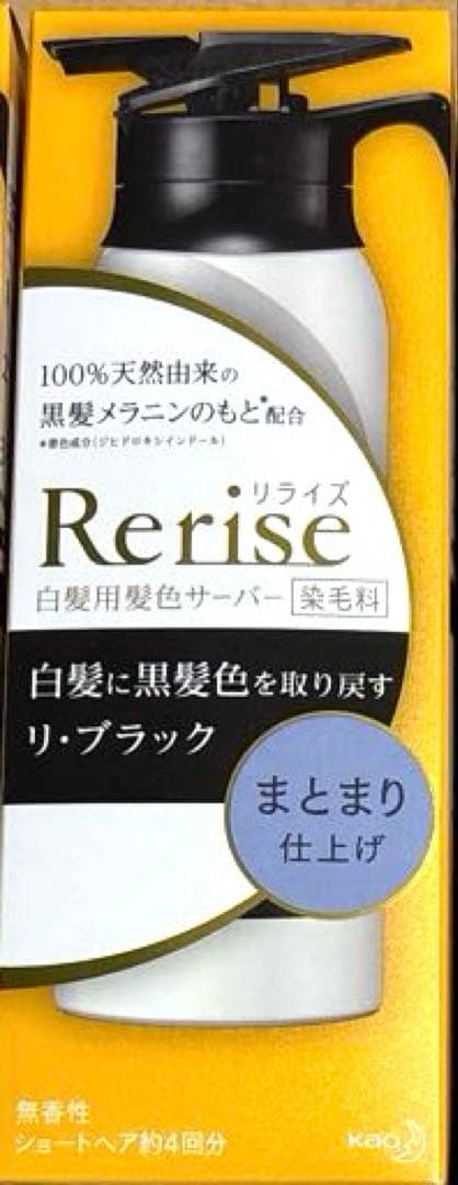花王 リライズ 白髪用髪色サーバー リ・ブラック まとまり仕上げ 本体 ×3個