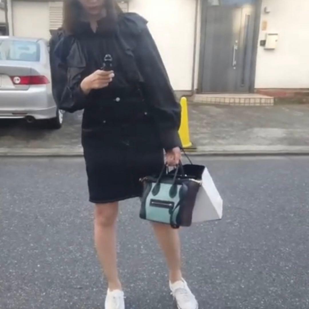 レアCELINE セリーヌナノラゲージ　ハラコ　美品