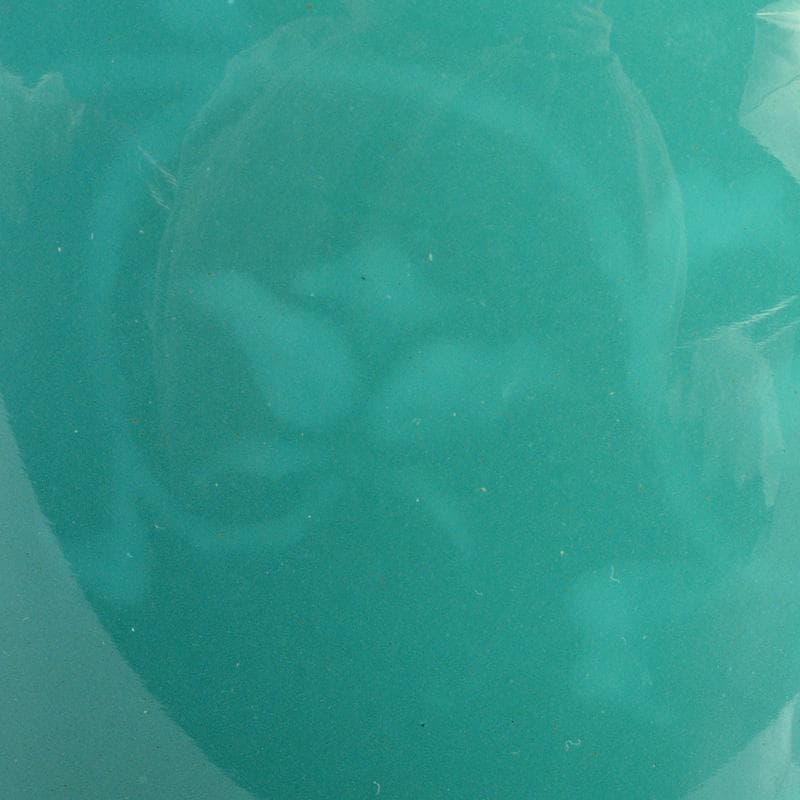 七宝焼　翡翠釉　牡丹文　花瓶　唐木台付　時代箱　C　6690