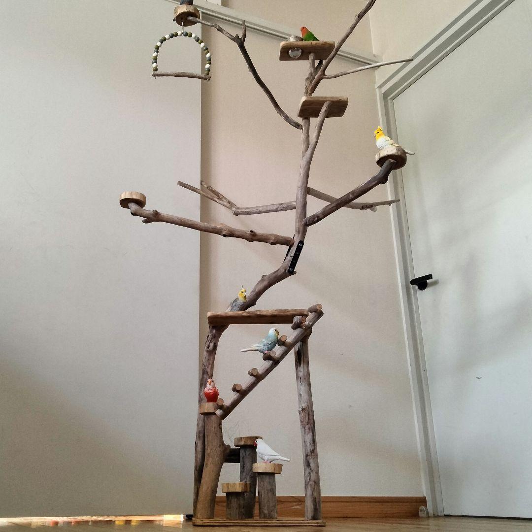 バードアスレチックジム大型 ㊷ 天然木 自然木 流木 インコ おもちゃ