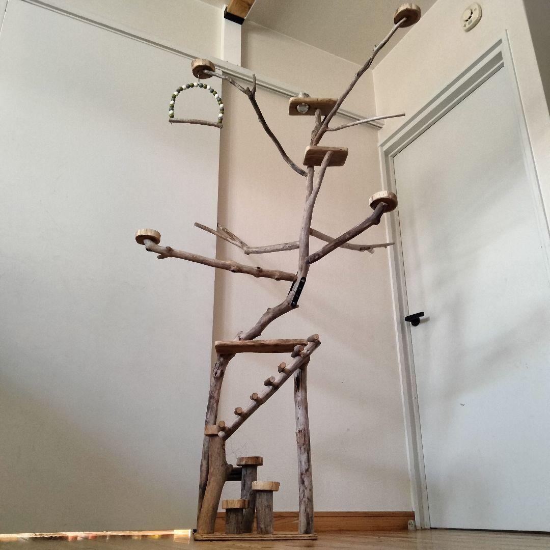 バードアスレチックジム大型 ㊷ 天然木 自然木 流木 インコ おもちゃ