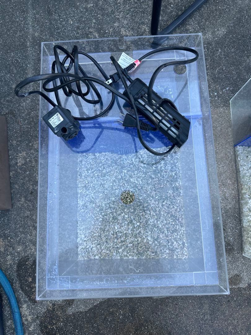 【bj74】かんたん槽　水槽　日海センター　NK45 中古 海水魚用