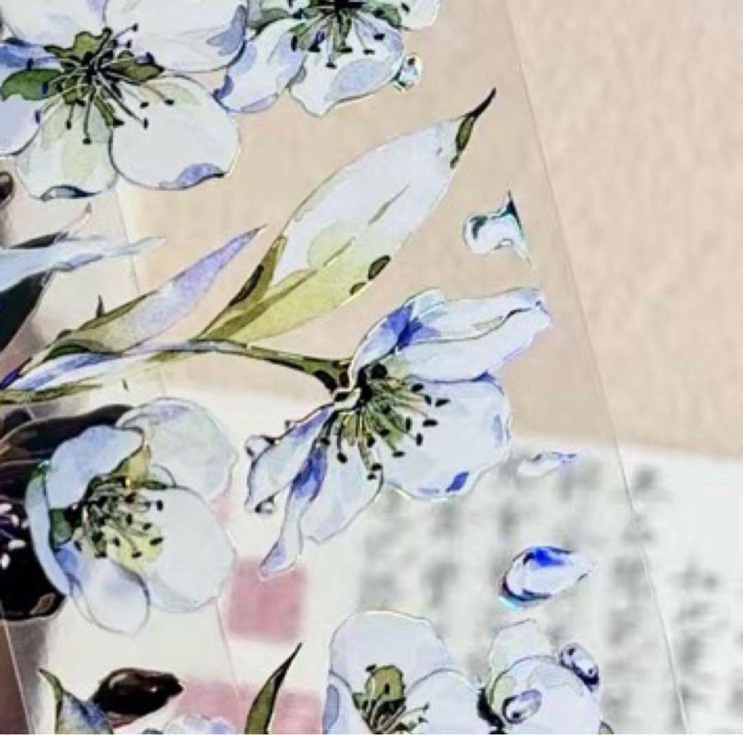 セール79 海外 PETテープ マスキングテープ