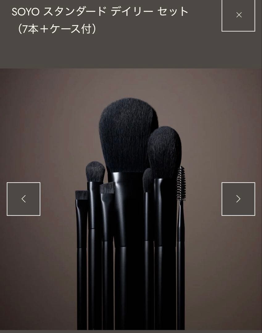 SOYO スタンダード デイリーセット (7本+ケース付)