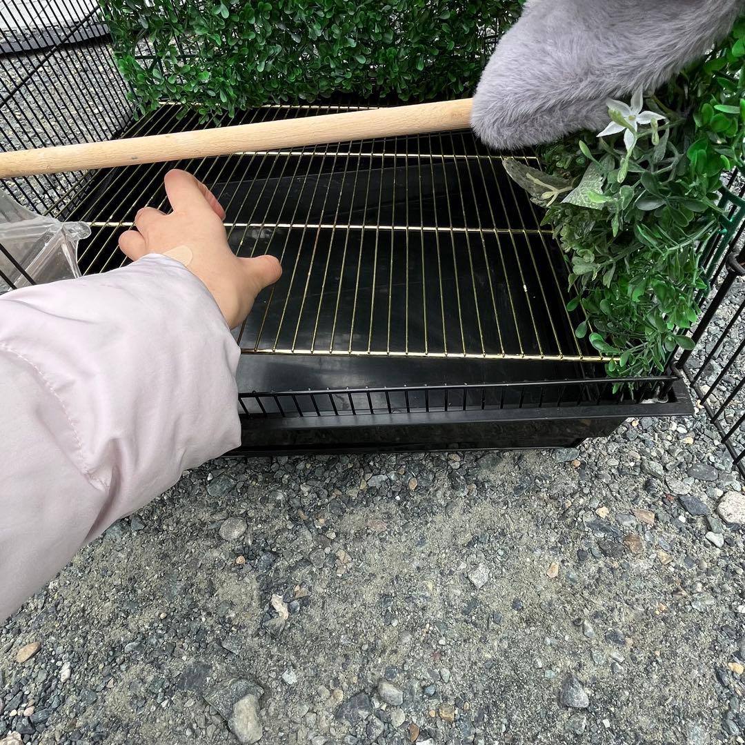 大きめの金属製鳥かご