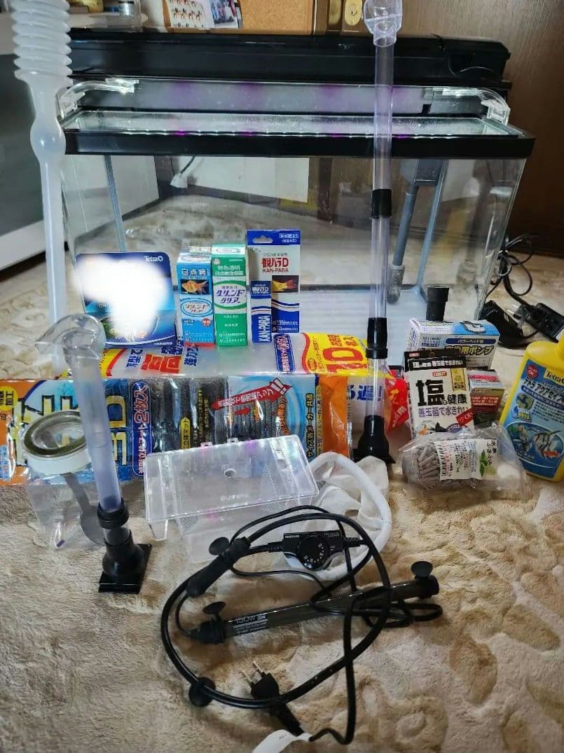 60cm 水槽 熱帯魚 フルセット