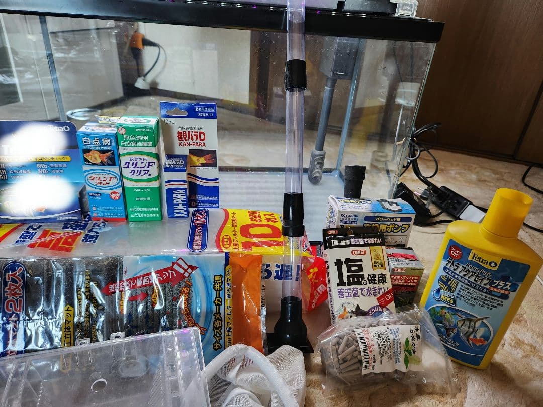 60cm 水槽 熱帯魚 フルセット