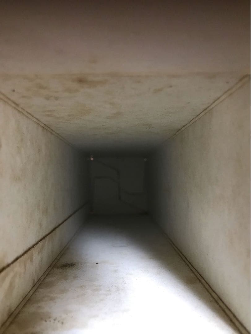 グレンリベット 12年 The GLENLIVET ピュア シングル モルト