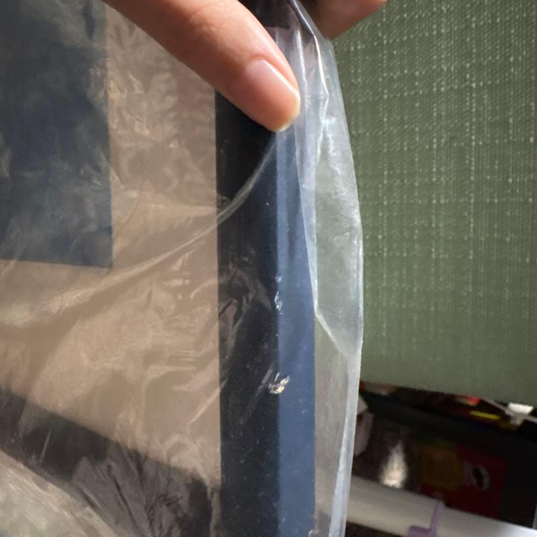 風の谷のナウシカ オリジナルアート 絵画 (DVD無し)