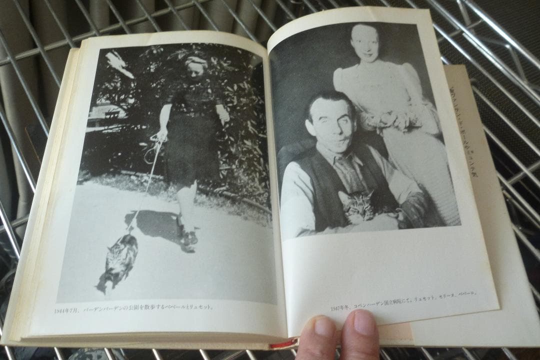 【10冊全初版●うち初版第一刷8冊】 ルイ＝フェルディナン・セリーヌ　貴重書籍