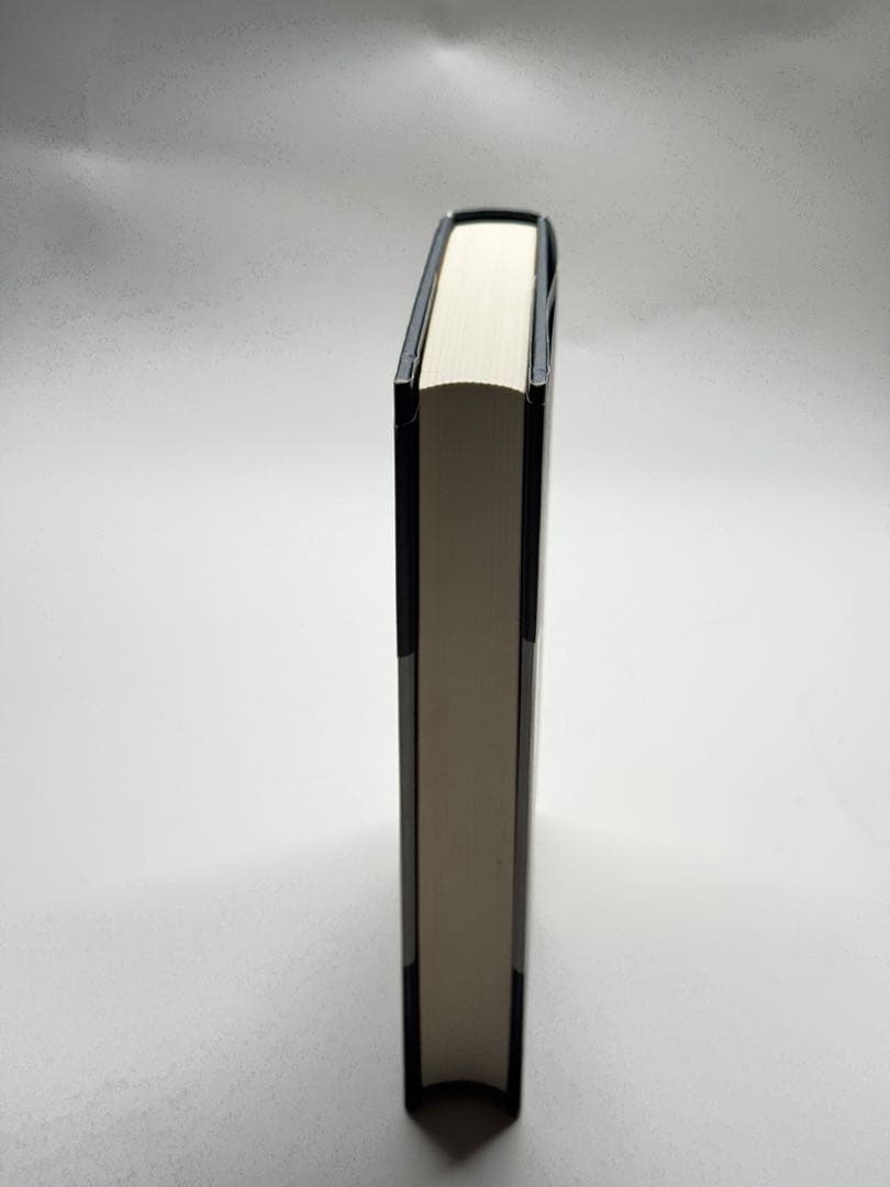 ウィトゲンシュタインの箒　D・F・ウォレス