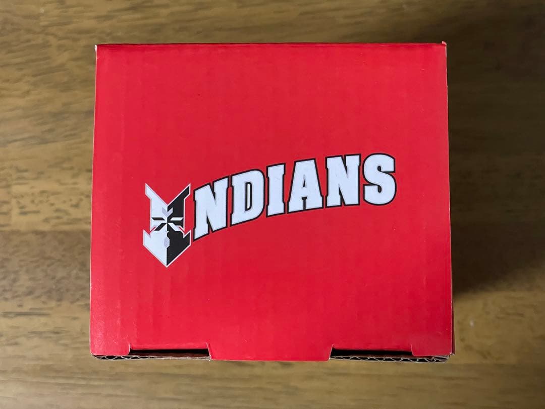 ポールスキーンズ　ルーキーイヤーボブルヘッド　球場配布