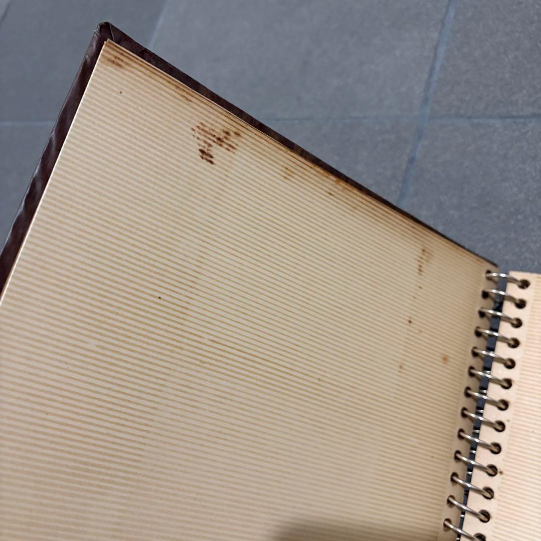 当時物　全日空　ANA ダビンチ　アルバム　昭和39年　レオナルドダヴィンチ