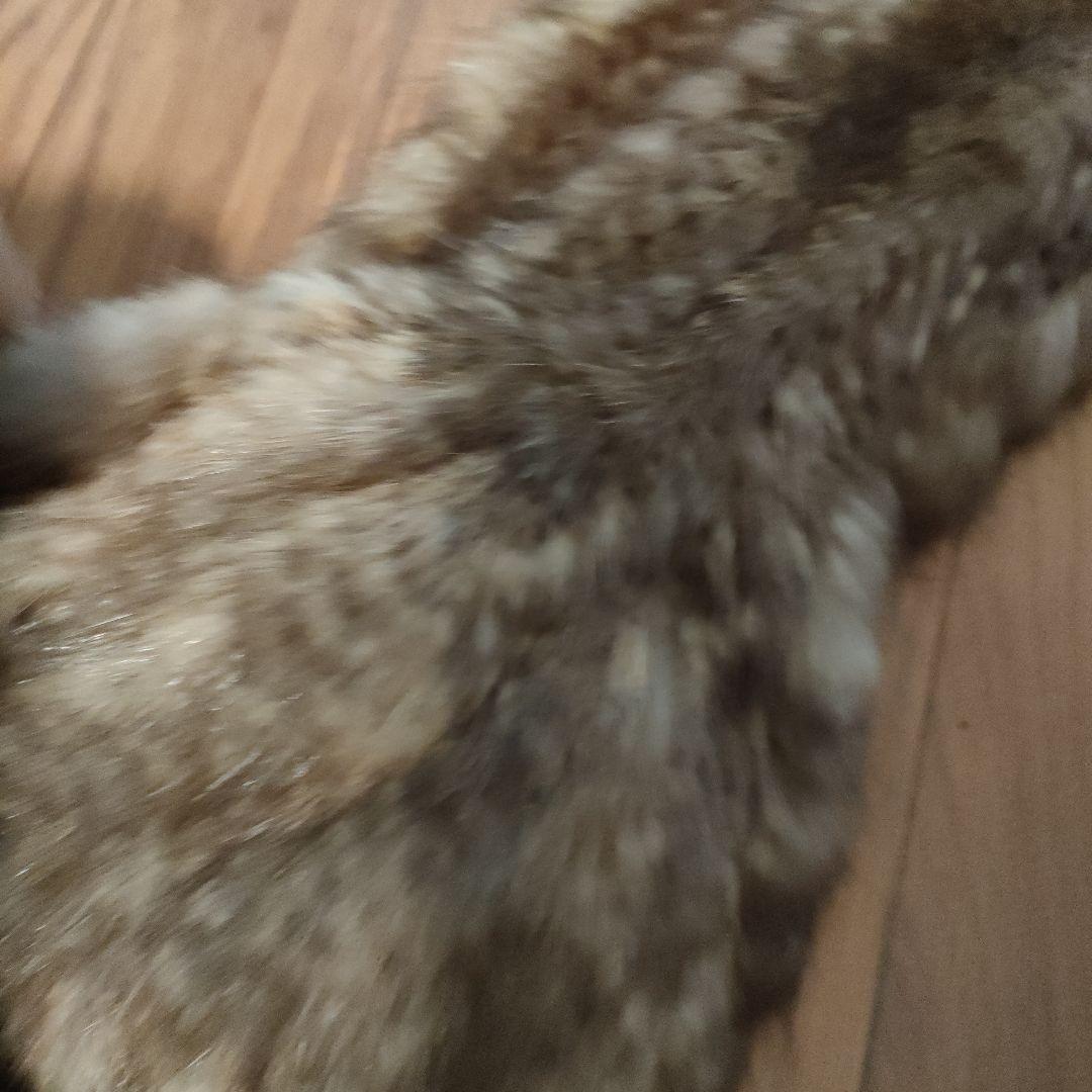 34 超美品　ファーマフラー　セーブルファー　ボンボン