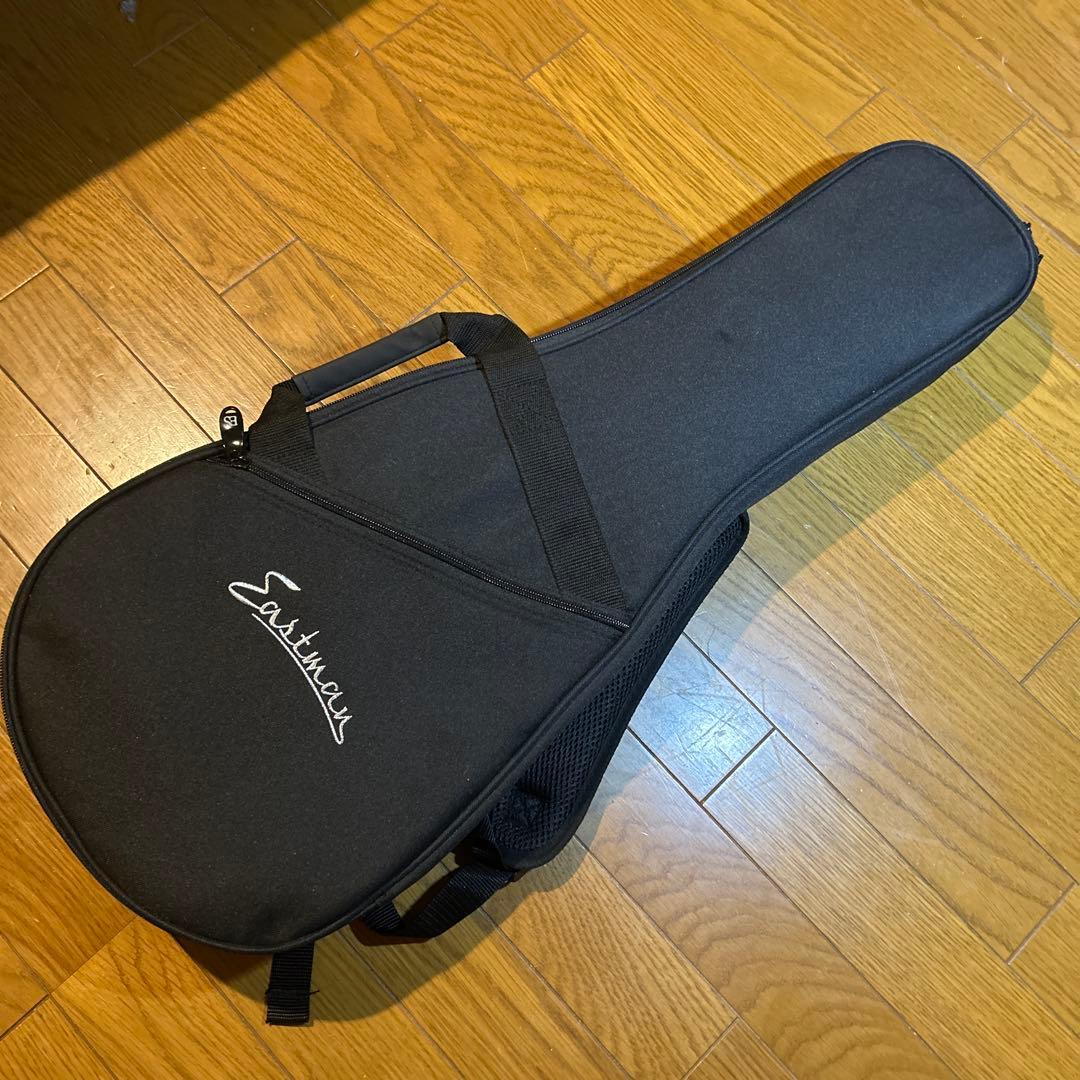 フラットマンドリン　イーストマン　md-315 /CLA ピックアップ付き