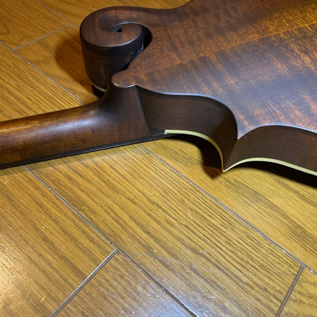 フラットマンドリン　イーストマン　md-315 /CLA ピックアップ付き