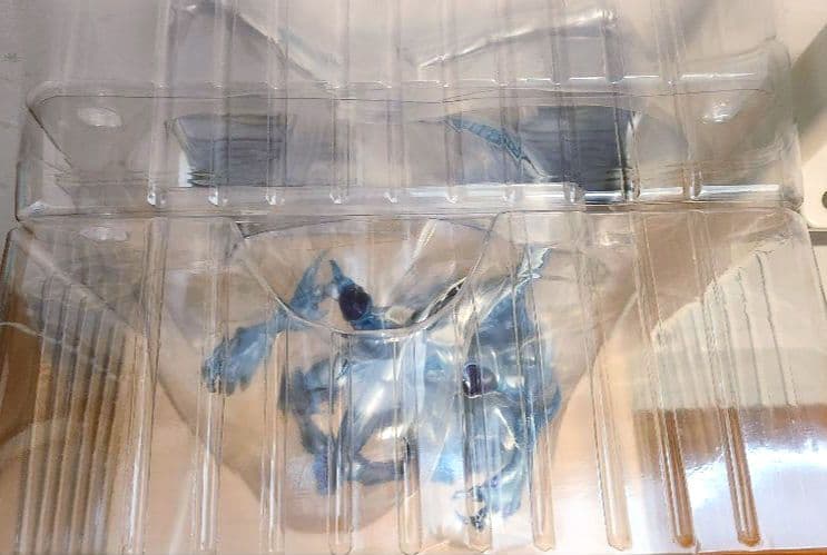 【開封済み】AMAKUNI 遊戯王5D's スターダスト・ドラゴン フィギュア