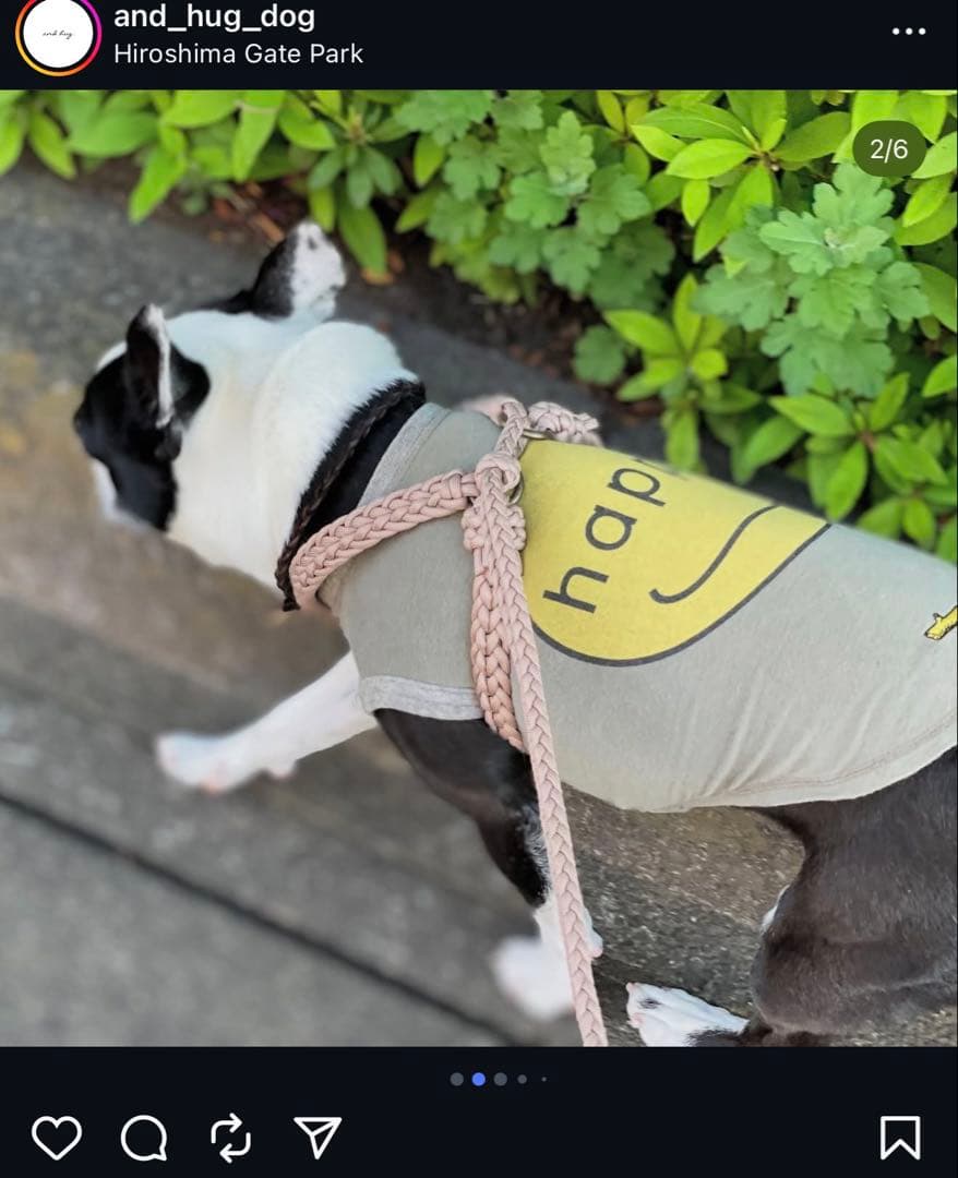 限定色ピンクベージュ✳︎ and hug.✳︎犬ハーネス＆多機能リード
