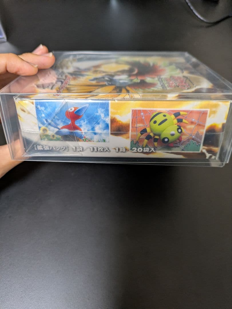 ポケモンカードゲーム 金の空 銀の海