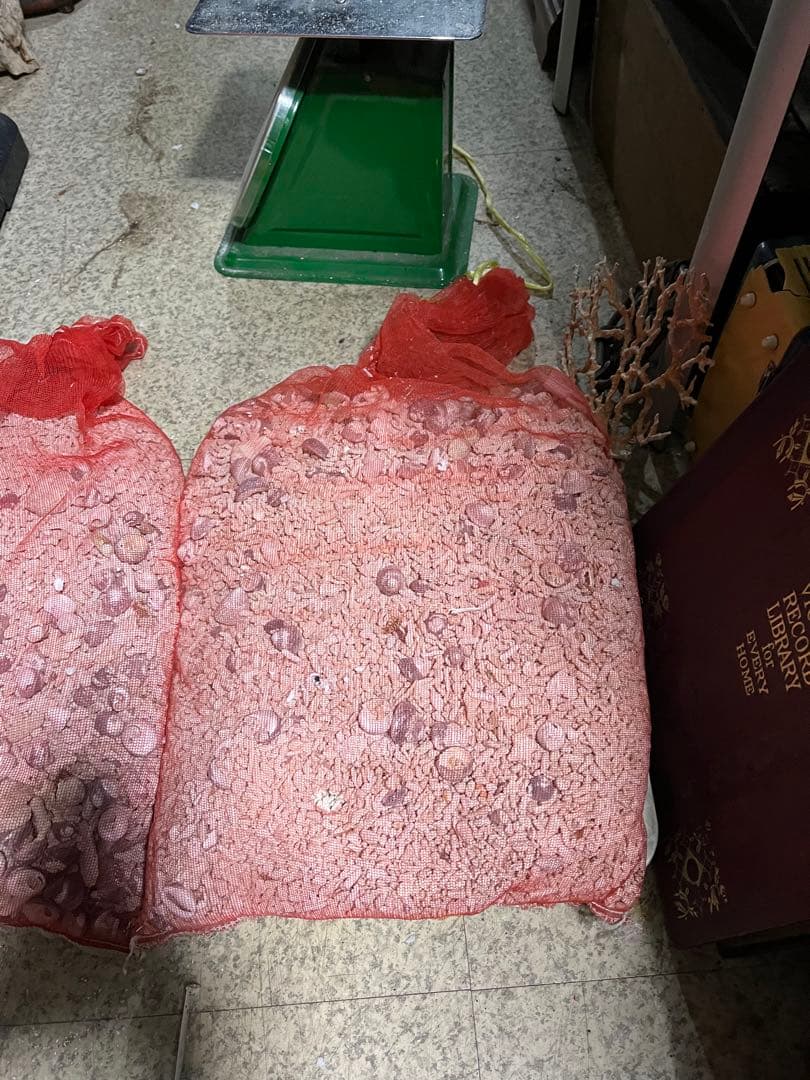 サンゴ砂、海水魚底砂、海水水槽濾過材、サンゴ米粒大、12キロサンゴ砂