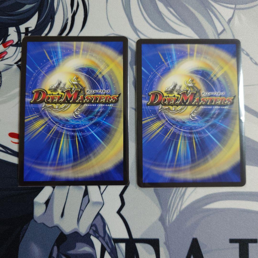 パーフェクトアドベンチャー 2枚セット