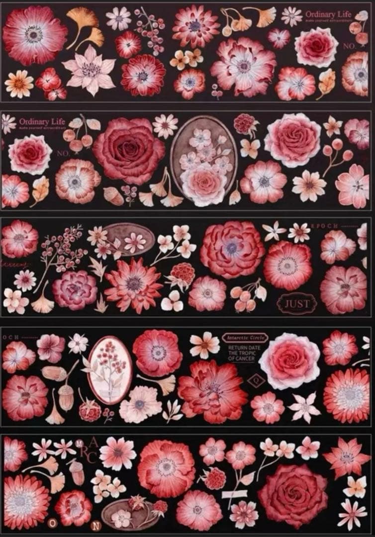 贝壳光 伴丝绒 6cm×5m 海外マスキングテープ　海外マステ　花