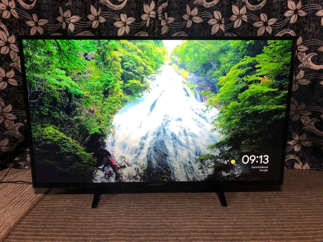 Panasonic 49型液晶テレビ TH-49GX500 2020年製