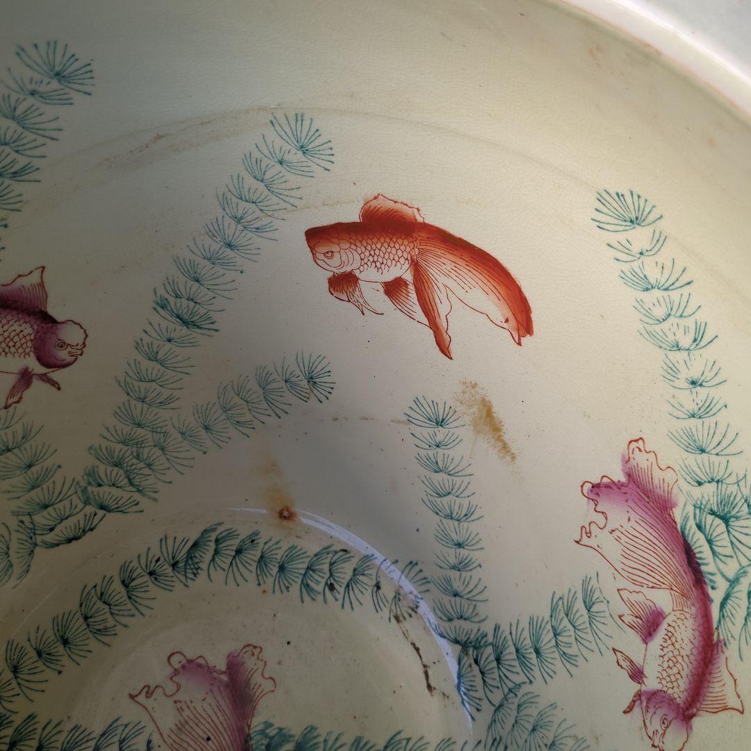 骨董 睡蓮鉢 水鉢 金魚 めだか 色絵 鉢 鉢カバー テーブル アンティーク