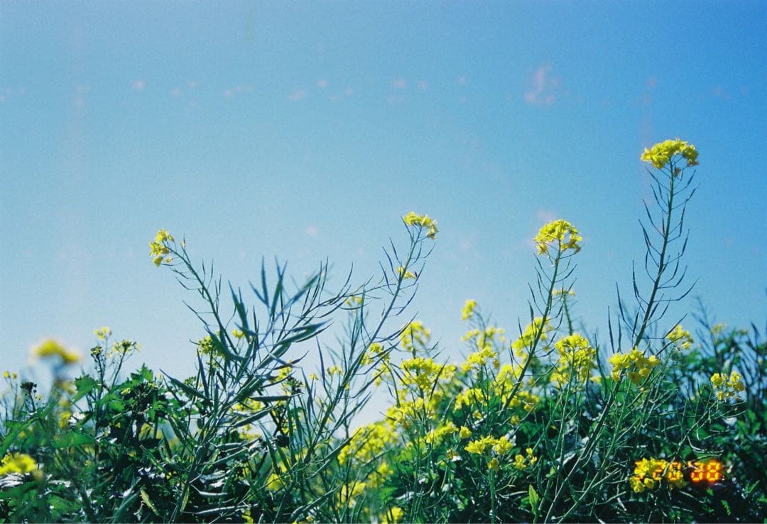 完動品　フィルムカメラNikon F80 レンズセット