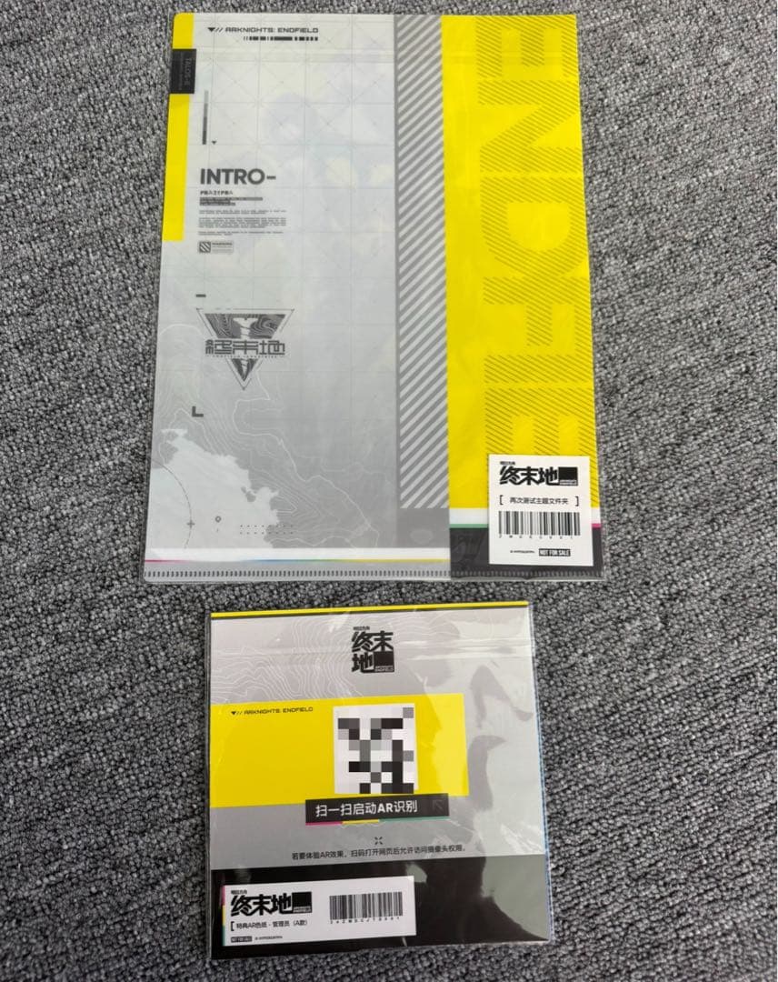 アークナイツ エンドフィールド AR色紙&クリアファイルセット