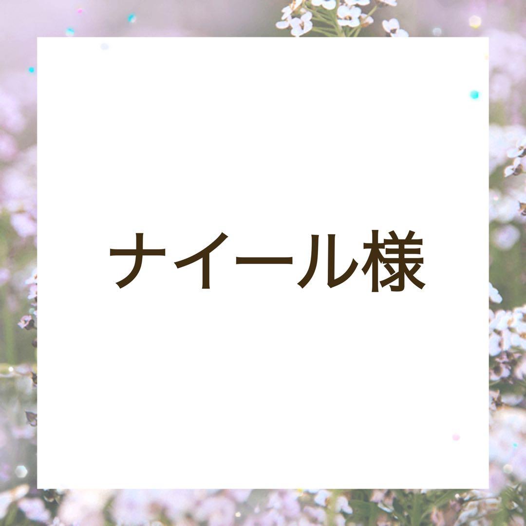 ナイールさま専用