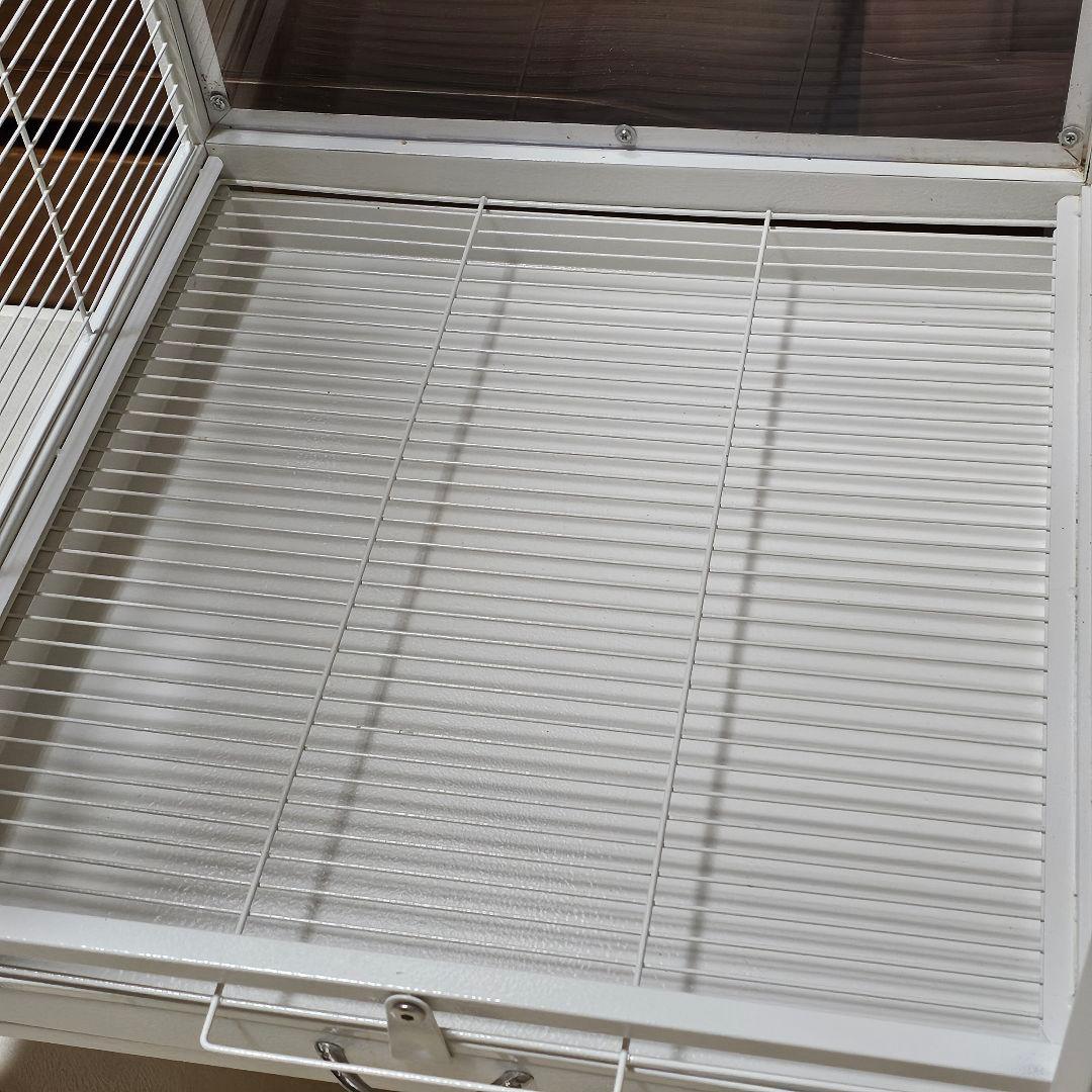 鳥かご 大型 バードケージ