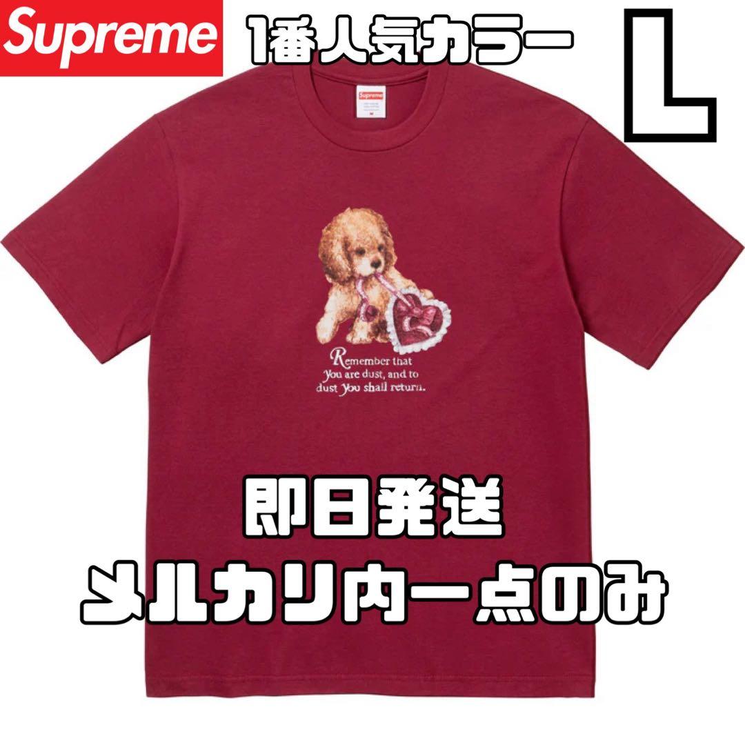 Lサイズ　Supreme Dust Tee \