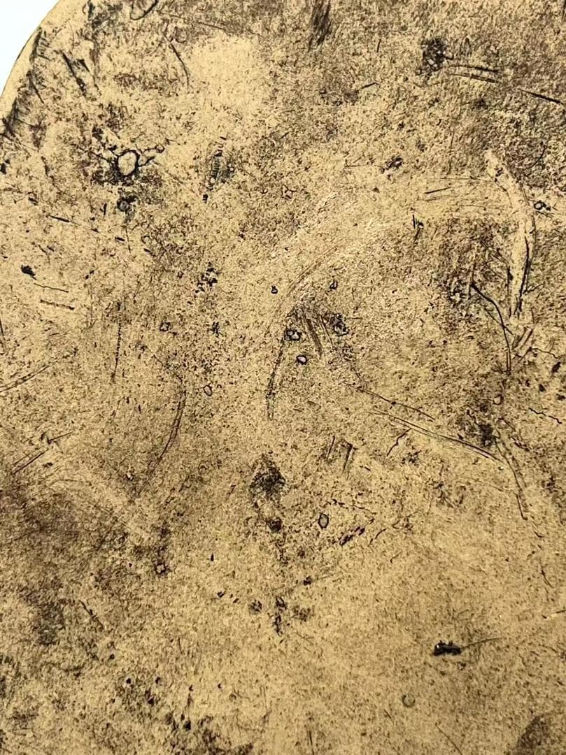 民国 紫砂布袋和尚 置物　茶道具　骨董品　唐物 中国古美術(F-178)