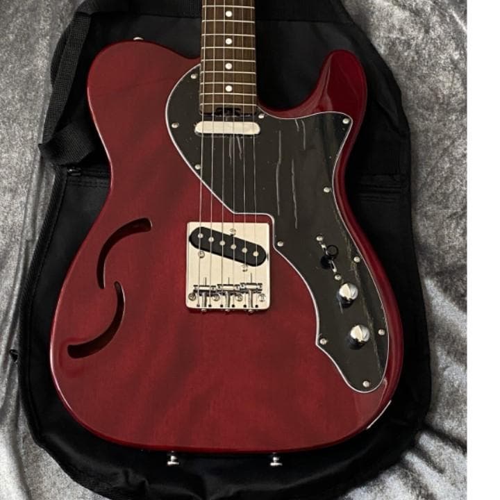 美品 限定生産モデル 美品 Schecter OL-PT-TH セミホロウ