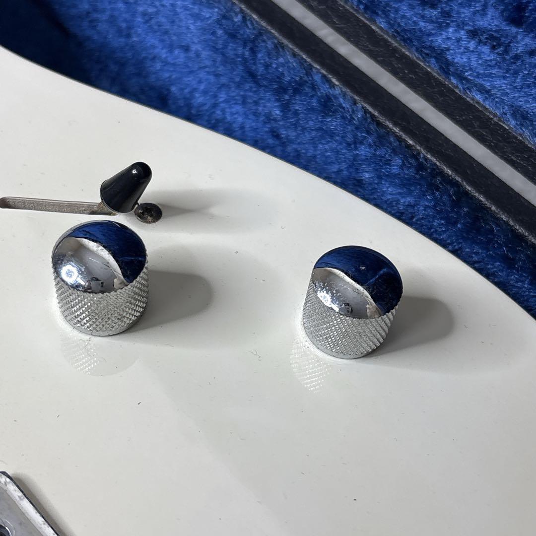 スティーブヴァイ　モンキーグリップ　アイバニーズタイプ