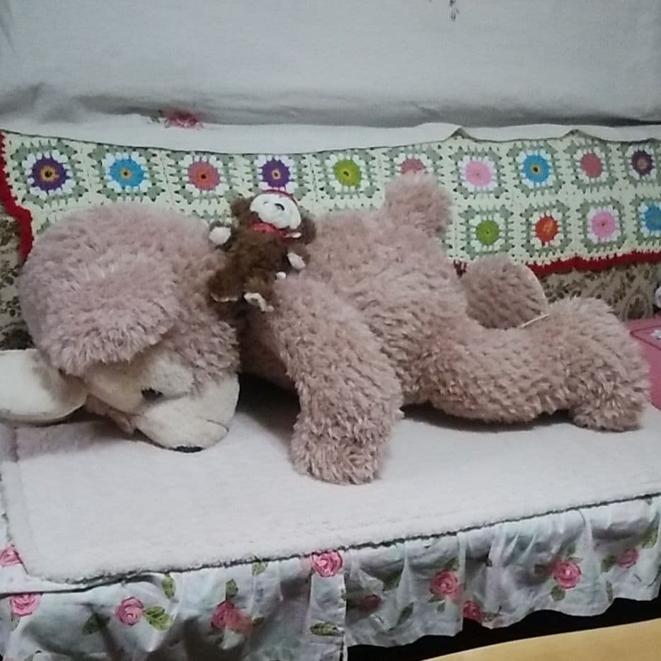 デズニーランド、くま、クマ、ディベアーフワフワ、 ぬいぐるみ、ビック