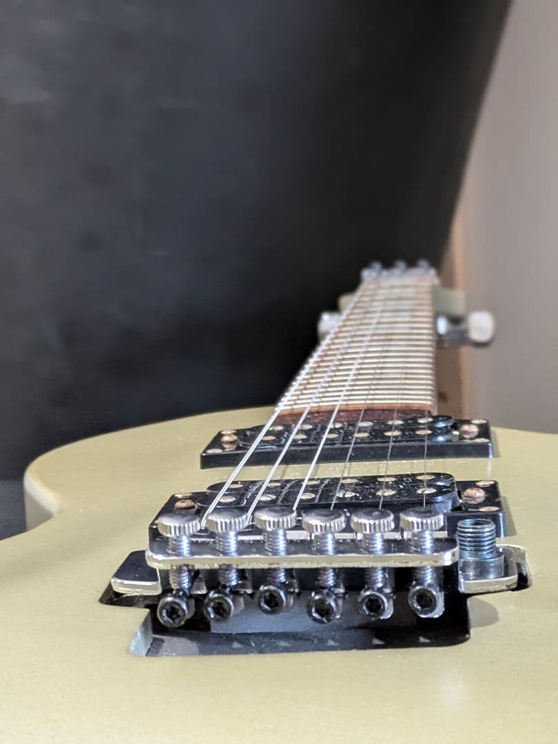 グラスルーツ Grass Roots レスポールタイプ ロック式