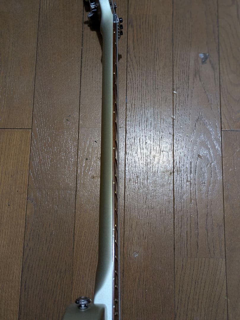 グラスルーツ Grass Roots レスポールタイプ ロック式