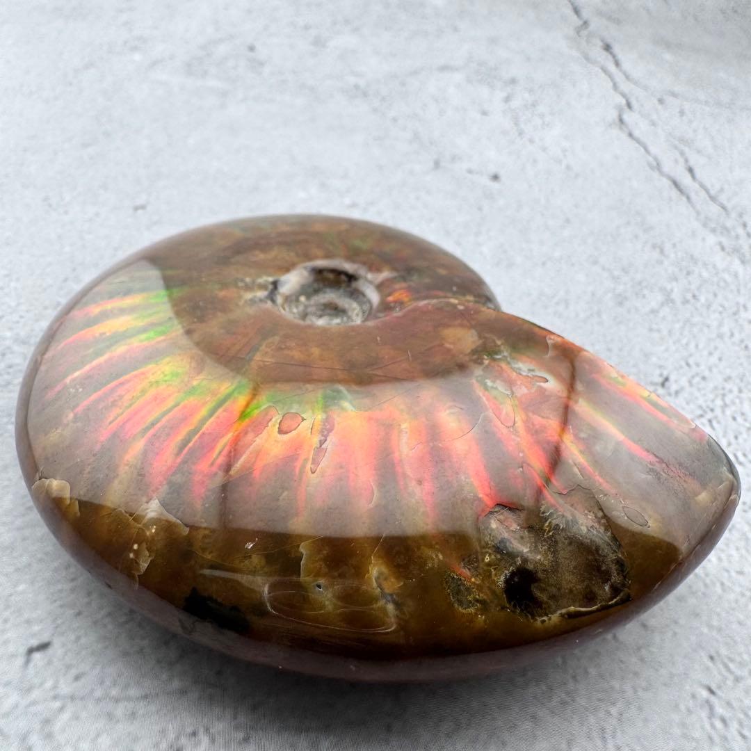 G-79天然アンモナイト原石　游色多色アンモナイト化石 天然石　コレクション標本