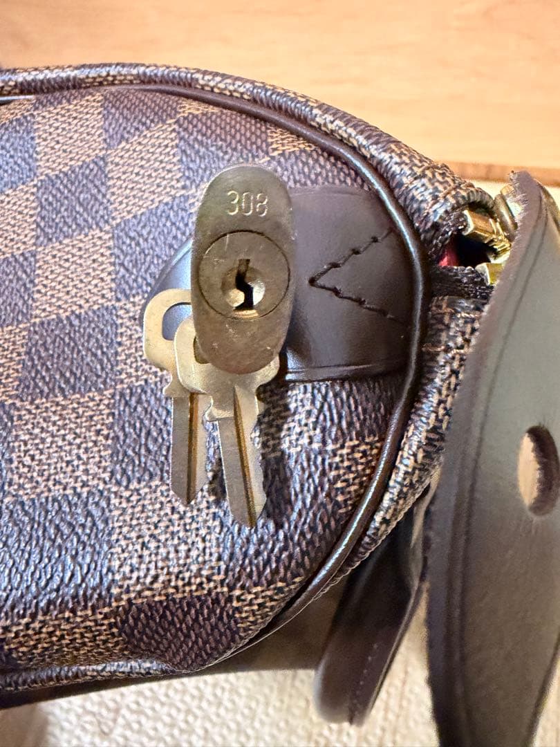 LOUIS VUITTON ダミエ・エベヌ スピーディ25 ハンドバッグ　美品