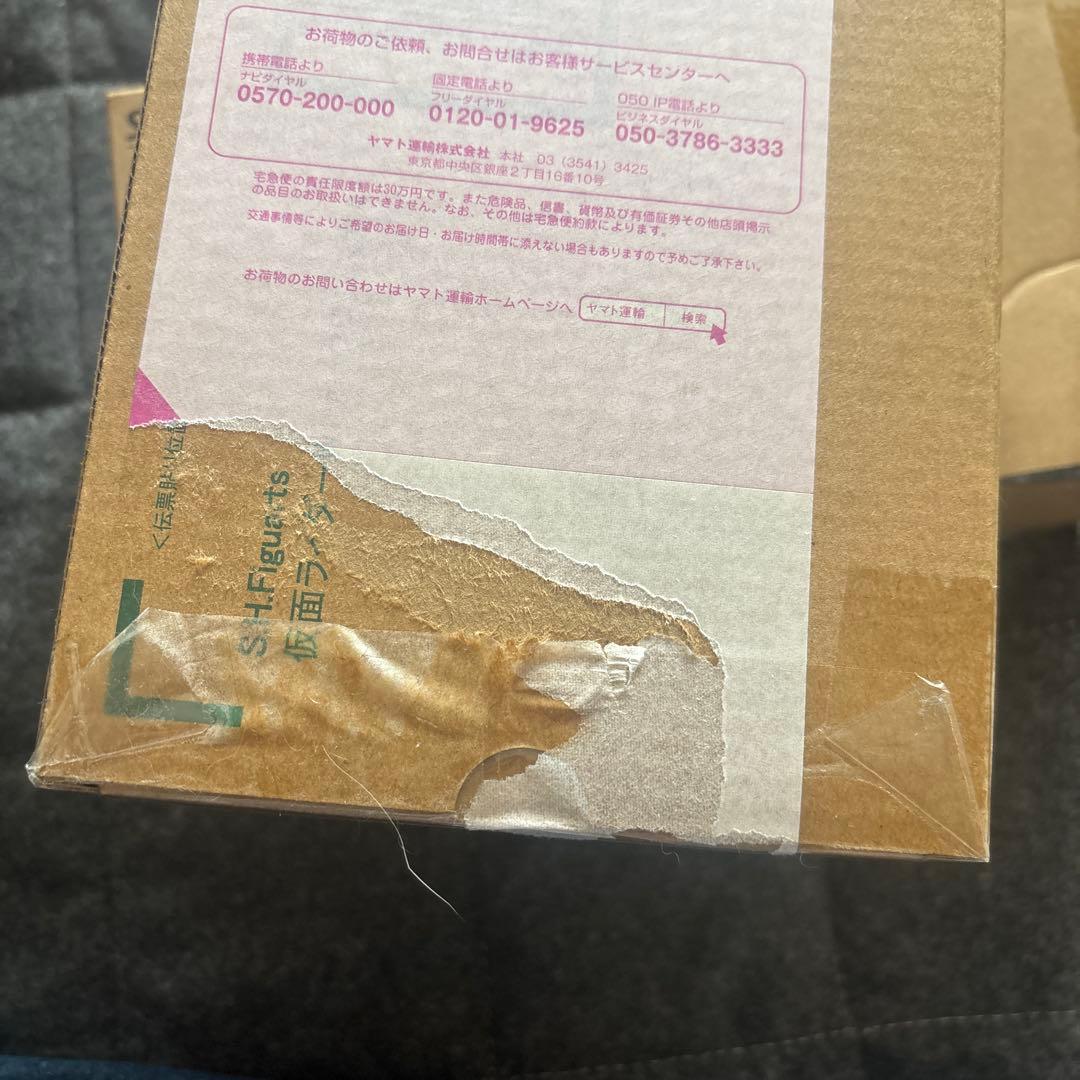 スペシャルED風都探偵Figuarts真骨彫仮面ライダーWサイクロンスカル