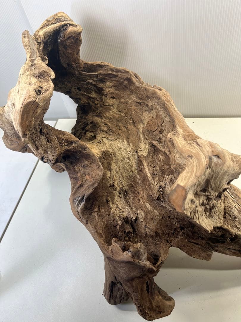 R72特大流木アク抜き済み流木 爬虫類シェルター 登り木 インテリア 生け花