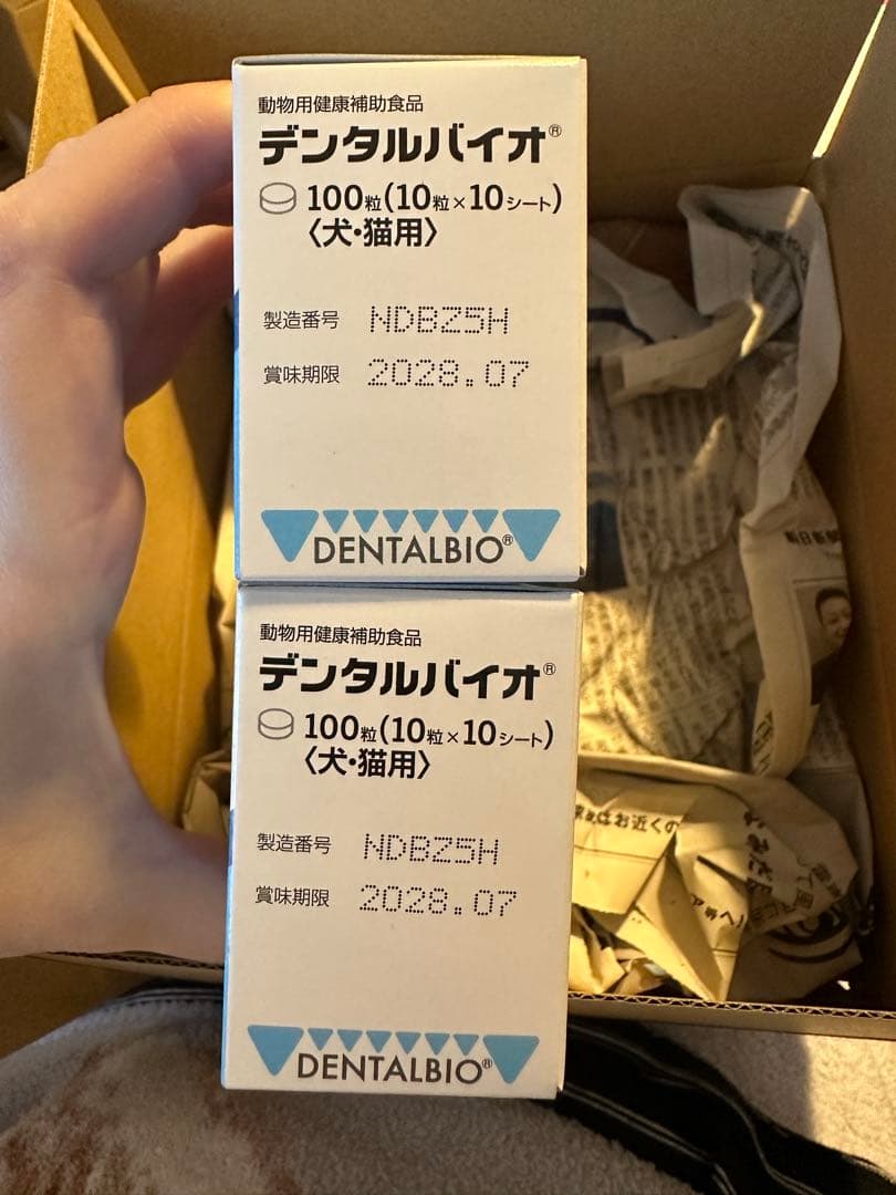 DENTALBIO デンタルバイオ 100枚入り×5箱