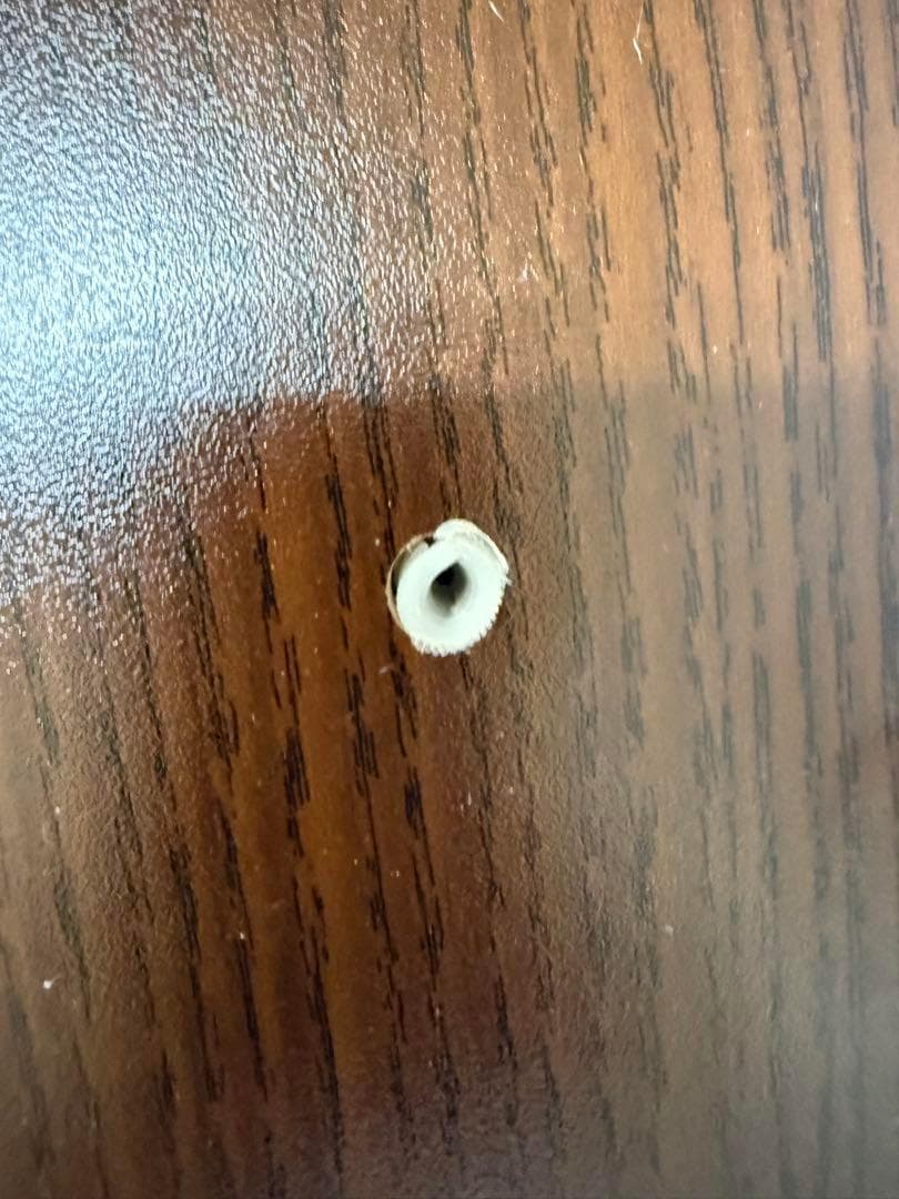 送料無料　DEWEL 水槽台 60cm水槽用 キャビネット付き 木目調