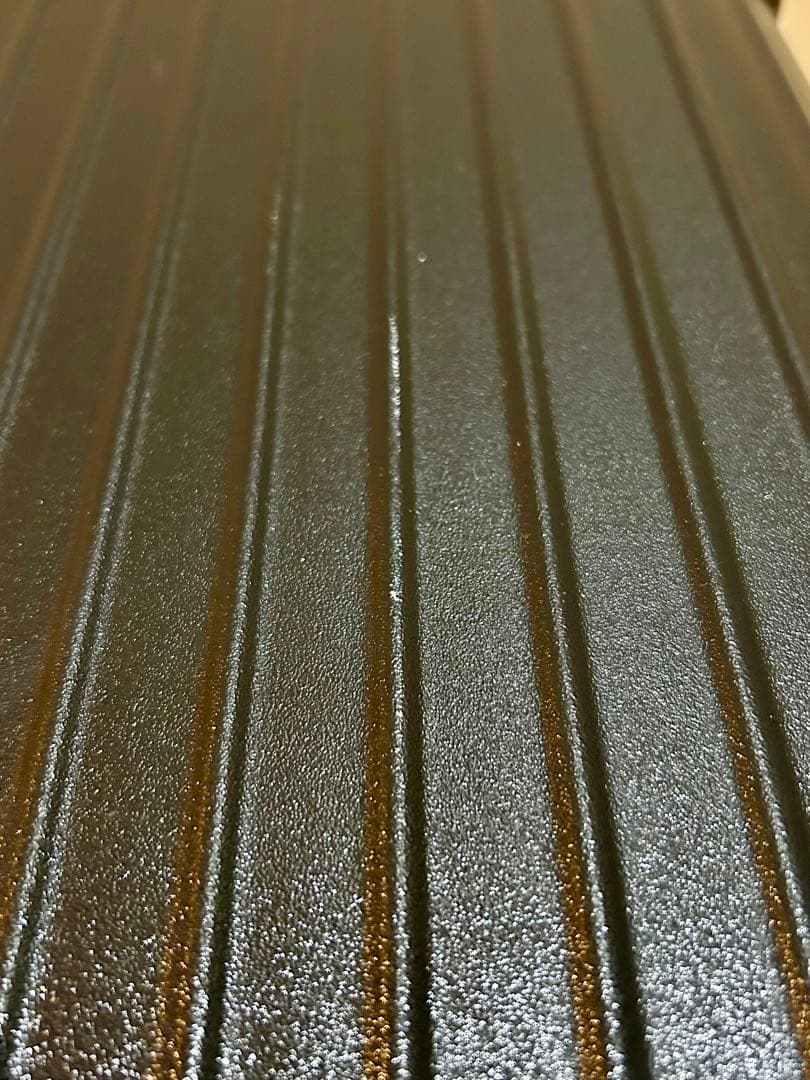 Rimowa サルサ ポリカーボネート トランク（おまけ付）