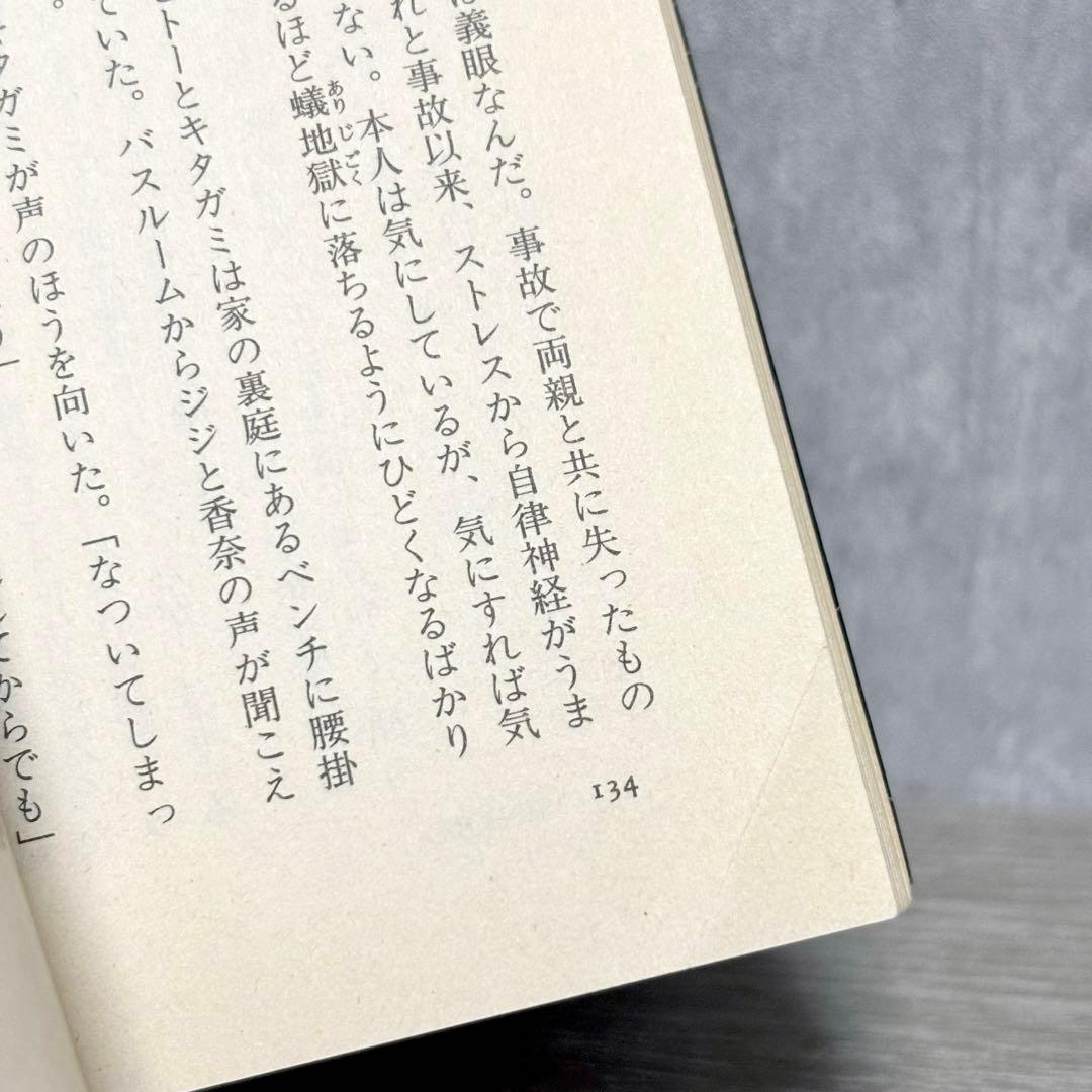 平山夢明 『SINKER 沈むもの』 1996年初版 絶版 サイコホラー小説