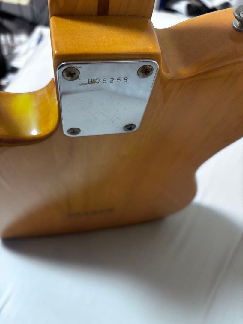 Bill Lawrence テレキャスター